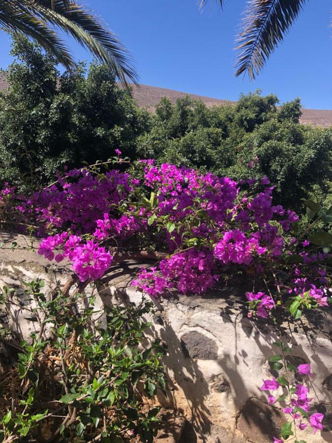 Vila Los Tunos Campo Internacional Maspalomas  Exteriér fotografie